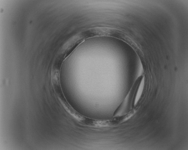 X0000084030141200703022132