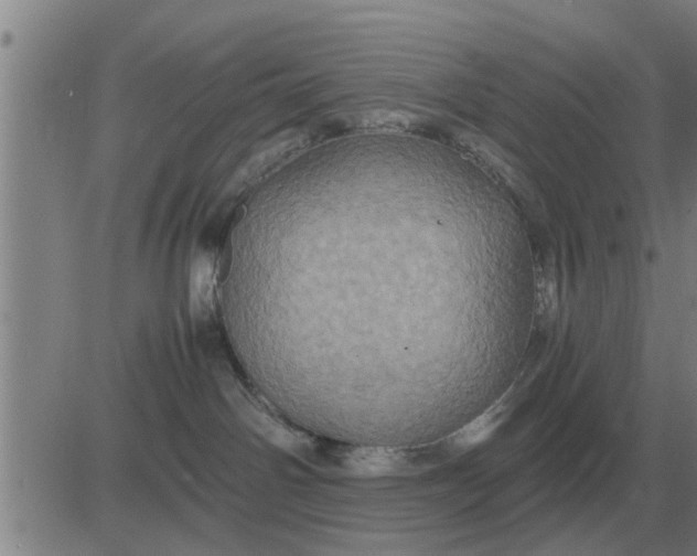 X0000084030142200703022132