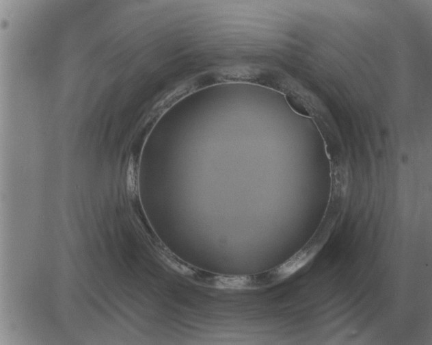 X0000084030143200703022132