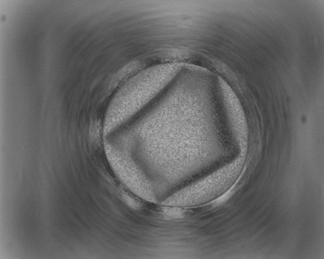 X0000084030144200703022132