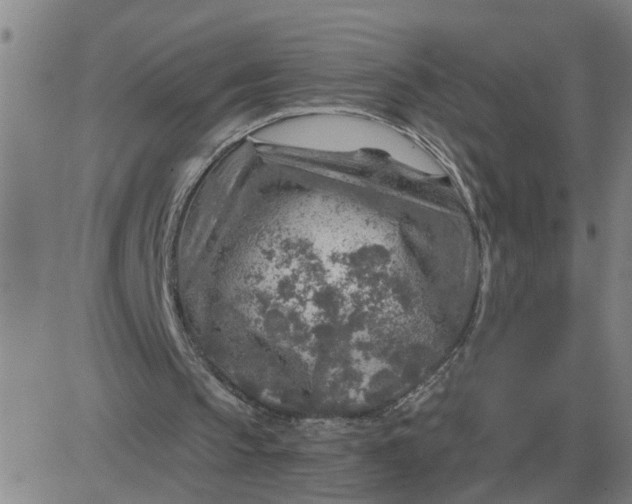 X0000084030145200703022131