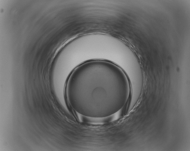 X0000084030146200703022131