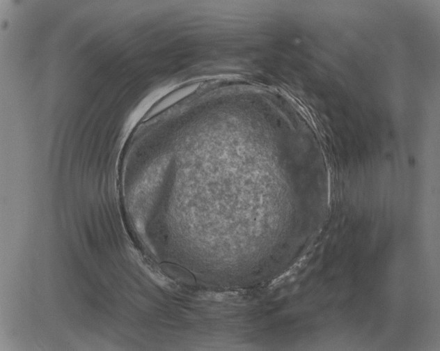 X0000084030147200703022131