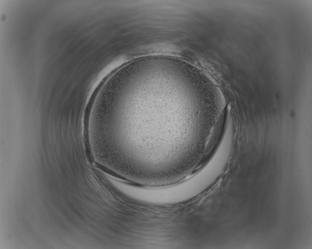 X0000084030148200703022131