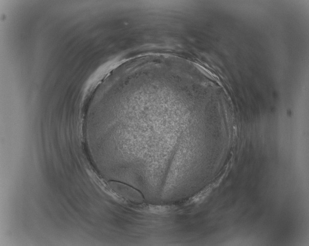 X0000084030149200703022131