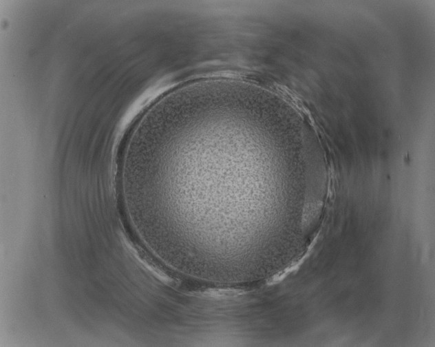 X0000084030150200703022131