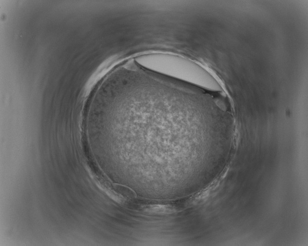 X0000084030151200703022131