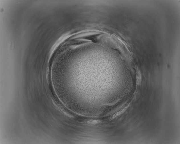 X0000084030152200703022131