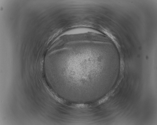 X0000084030153200703022131