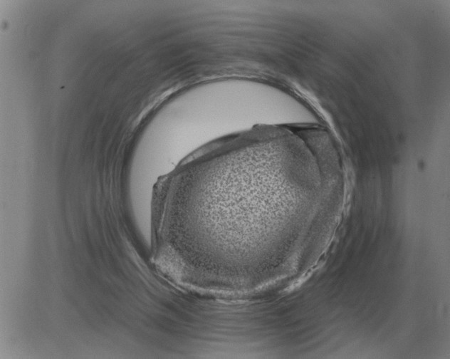 X0000084030154200703022131