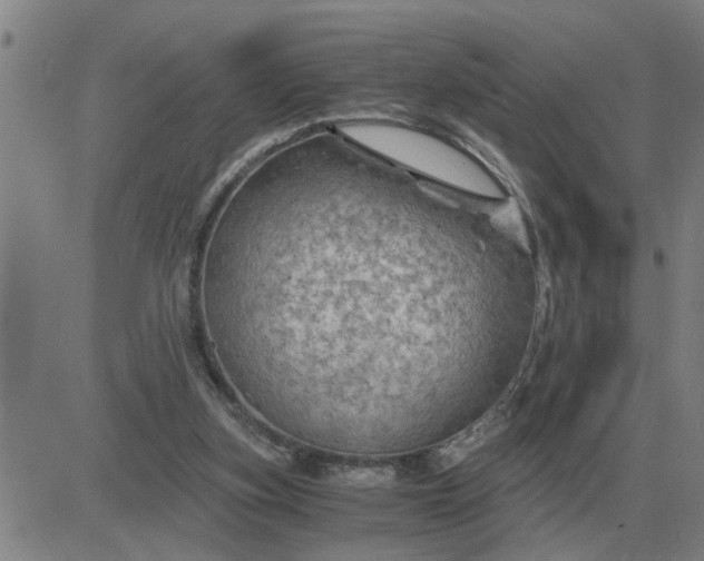 X0000084030155200703022131