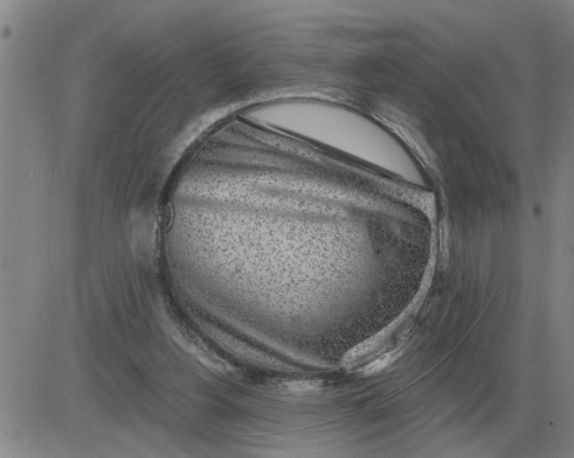 X0000084030156200703022131