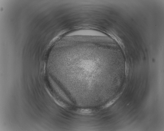 X0000084030157200703022131