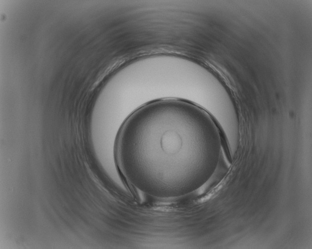 X0000084030158200703022132