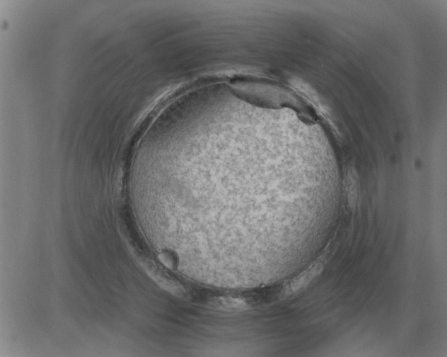 X0000084030159200703022132