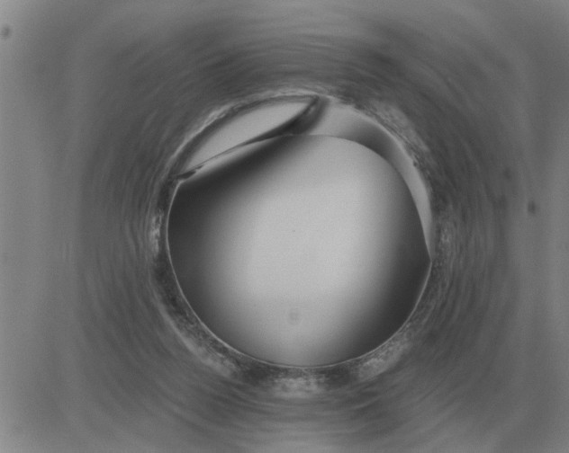 X0000084030160200703022132