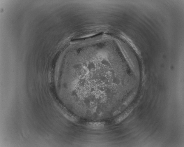 X0000084030161200703022132