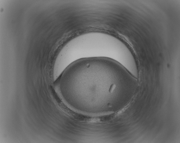 X0000084030162200703022132