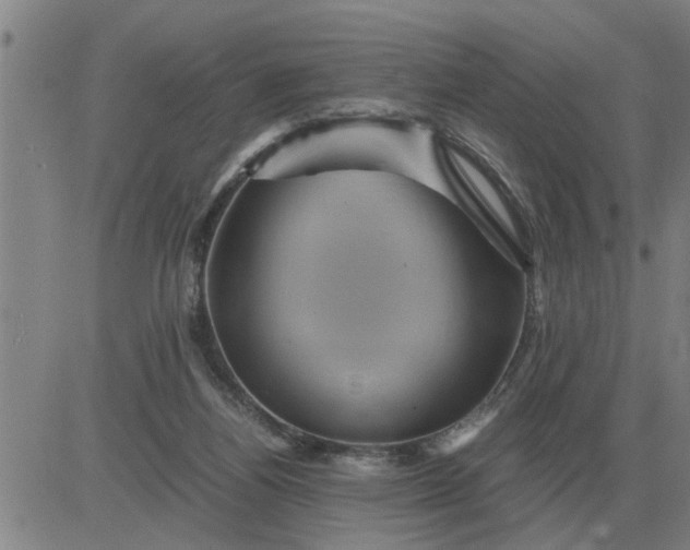 X0000084030164200703022132