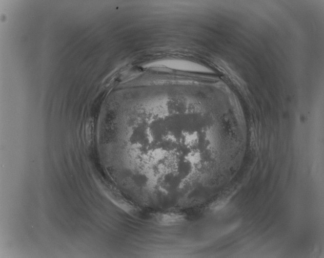 X0000084030165200703022132