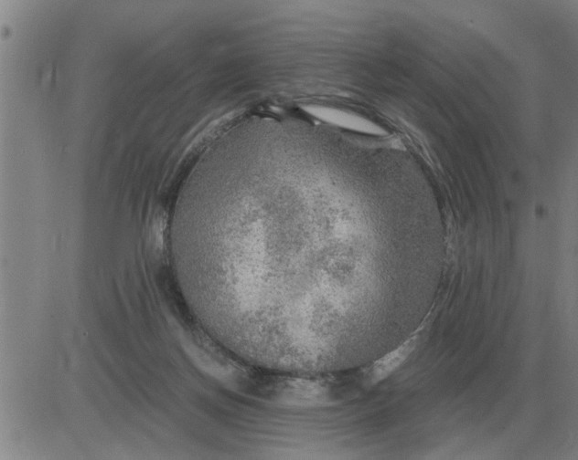 X0000084030166200703022132