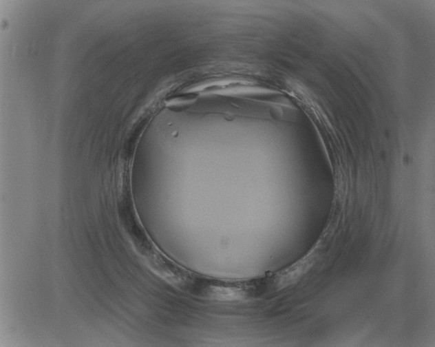 X0000084030167200703022132