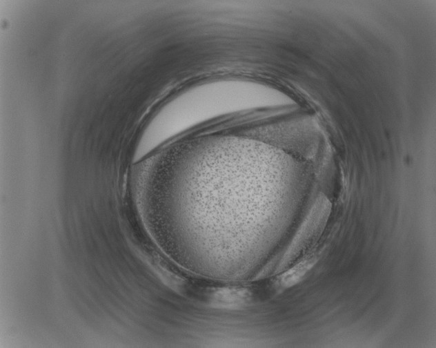 X0000084030168200703022132