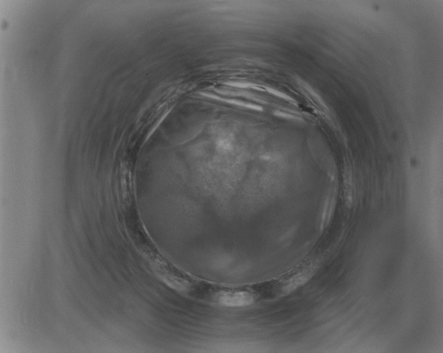 X0000084030169200703022132