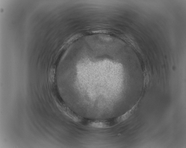 X0000084030171200703022132