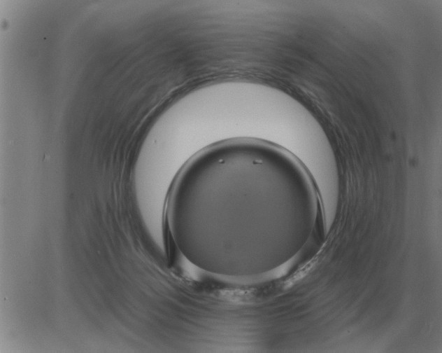 X0000084030172200703022132