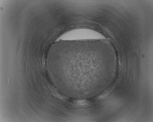 X0000084030173200703022132