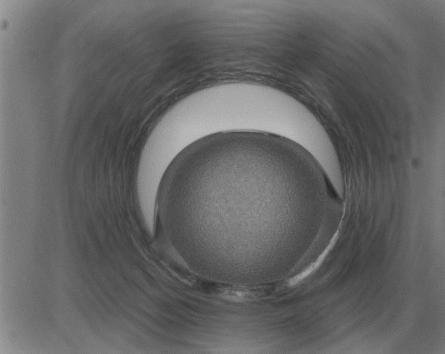 X0000084030174200703022132