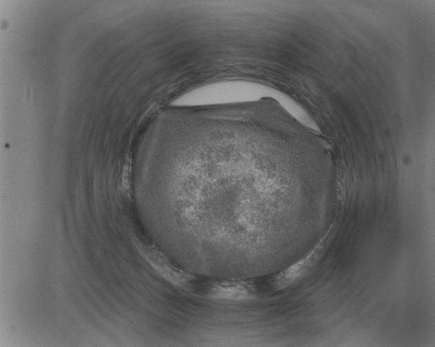 X0000084030175200703022132