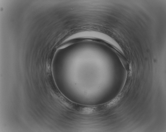 X0000084030176200703022132