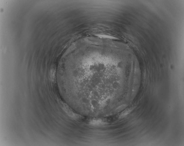 X0000084030177200703022132