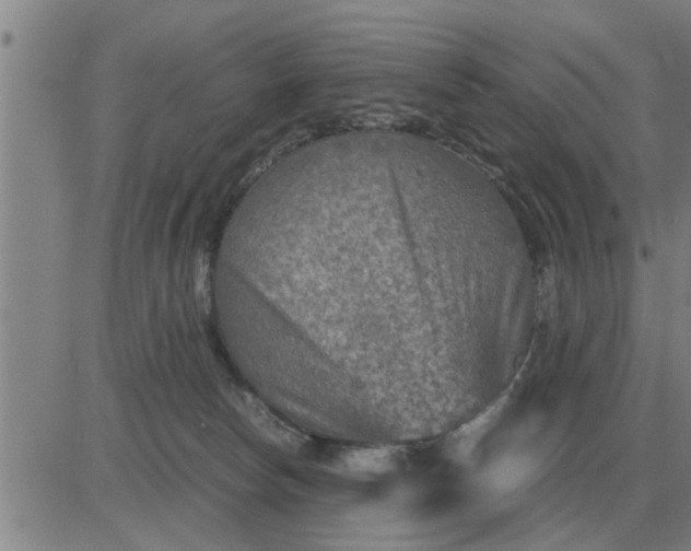 X0000084030178200703022132