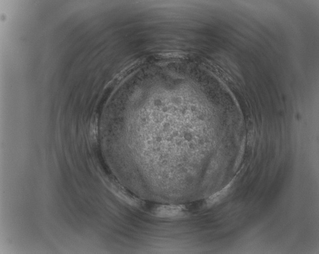 X0000084030179200703022132