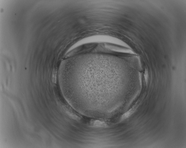 X0000084030180200703022132