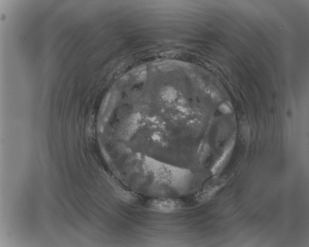 X0000084030181200703022132