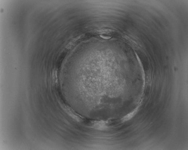 X0000084030182200703022132