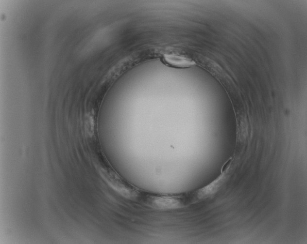 X0000084030183200703022132