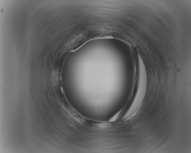 X0000084030184200703022132