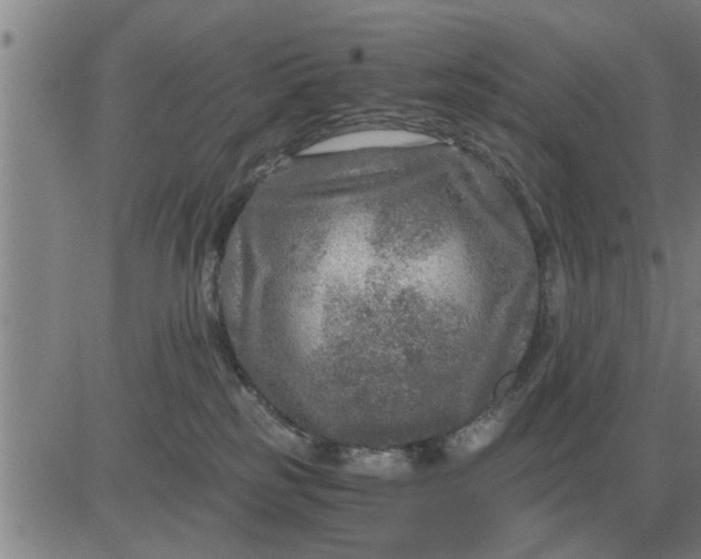 X0000084030185200703022132