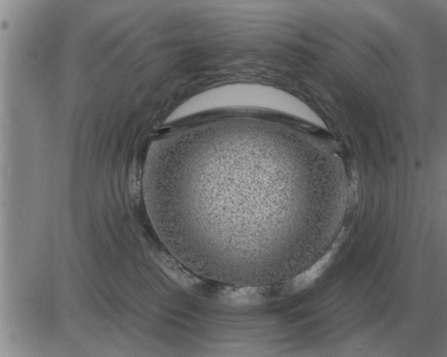 X0000084030186200703022132