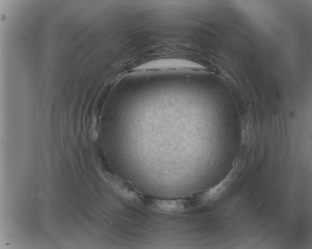 X0000084030187200703022132