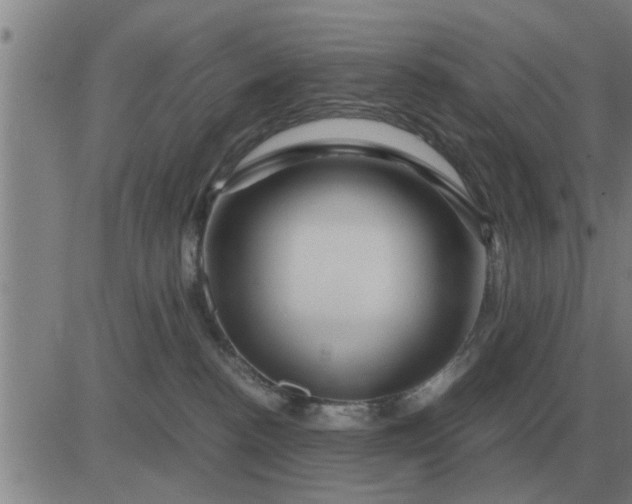 X0000084030188200703022132