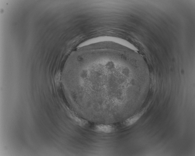 X0000084030189200703022132