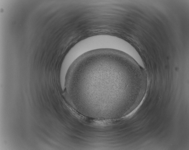 X0000084030190200703022132