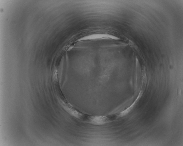 X0000084030191200703022132