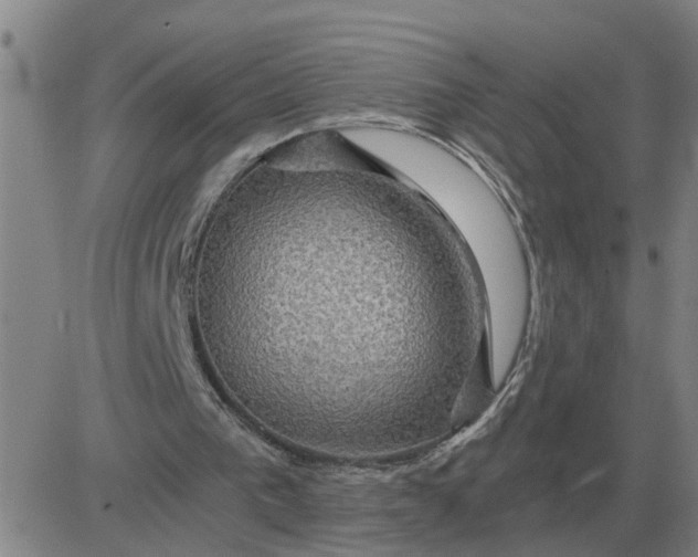 X0000084030193200703022131